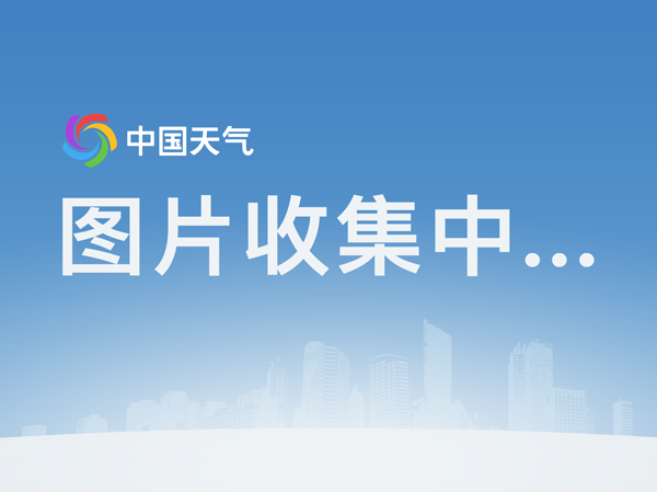 pg电子模拟器