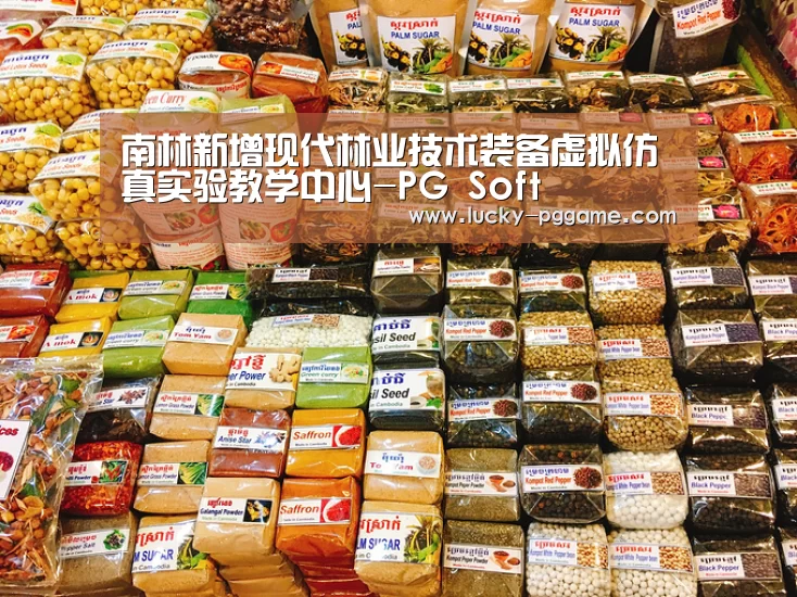 南林新增现代林业技术装备虚拟仿真实验教学中心-PG Soft(图2) pg电子