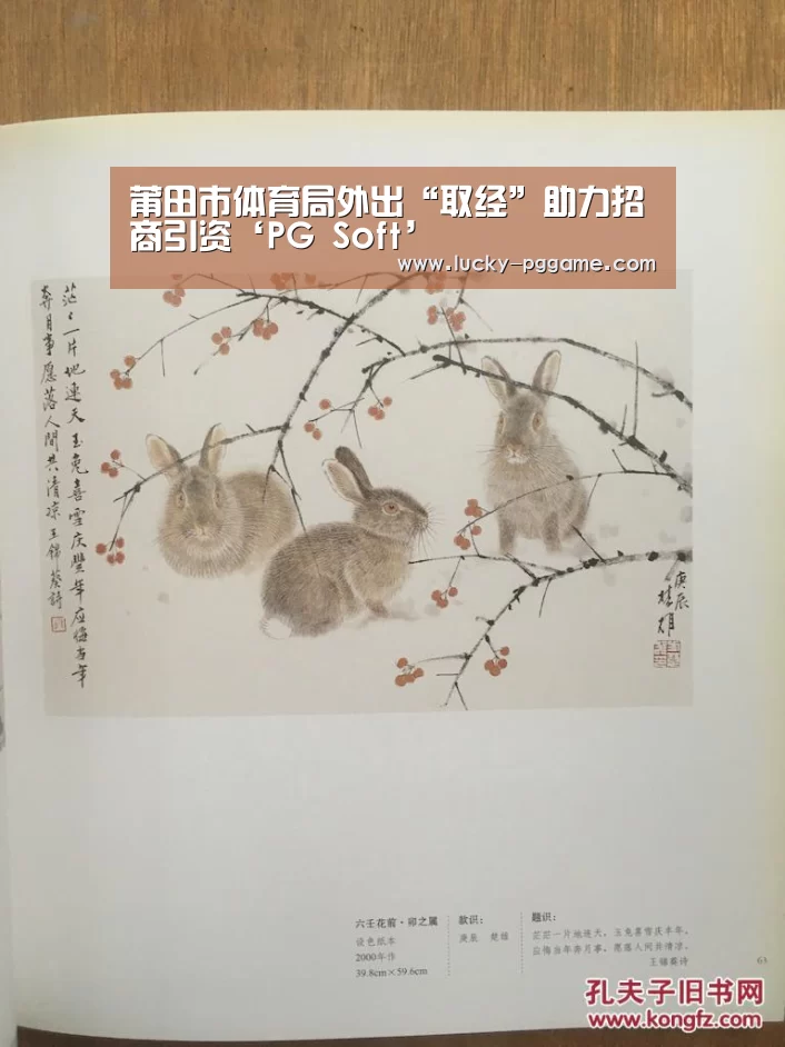 莆田市体育局外出“取经”助力招商引资‘PG Soft’(图1) pg电子模拟器