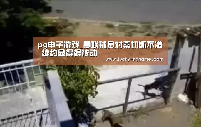pg电子游戏_曼联球员对桑切斯不满 续约显得很被动(图1) pg电子游戏