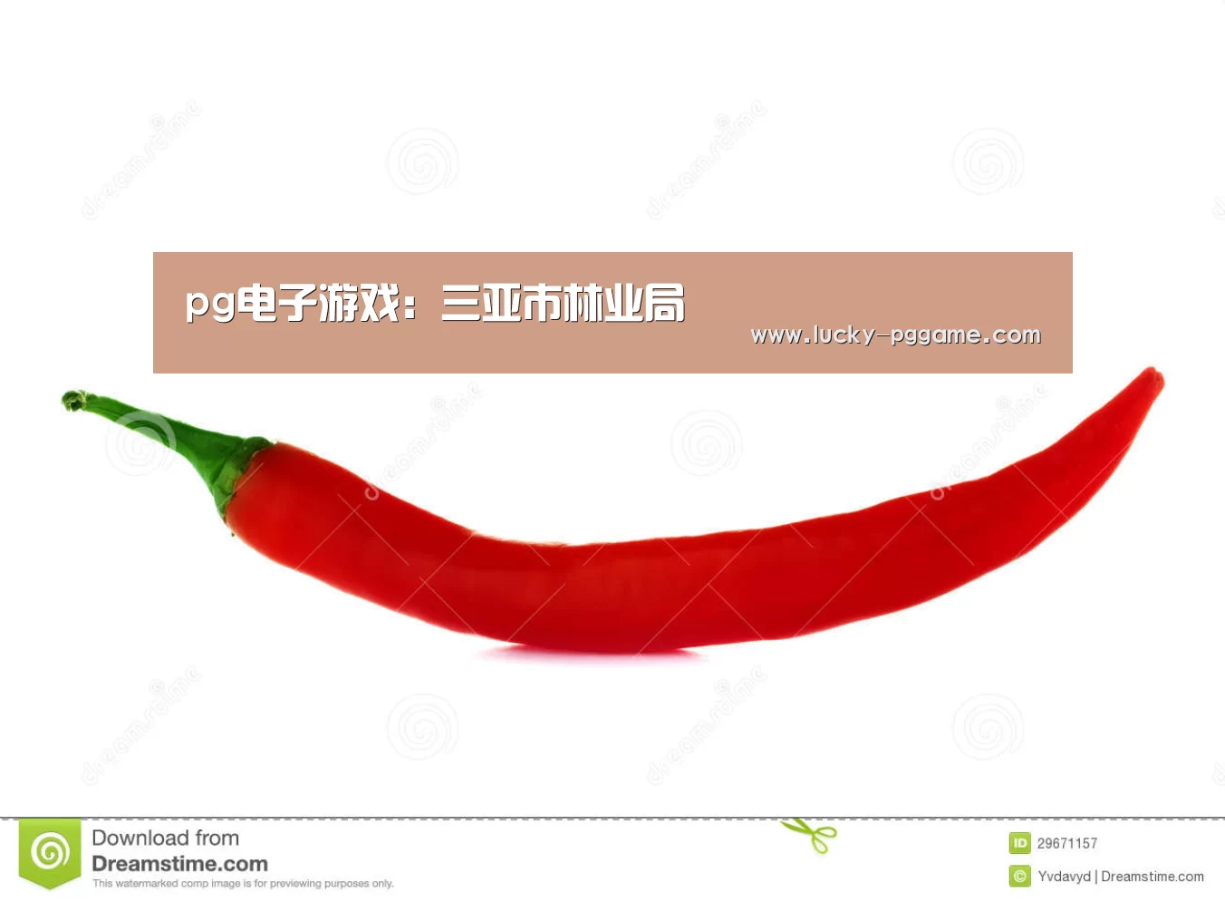 pg电子模拟器