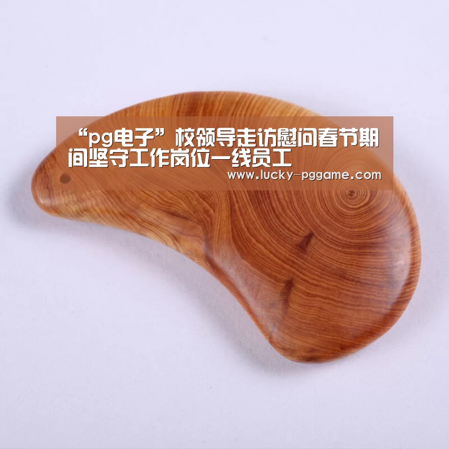 “pg电子”校领导走访慰问春节期间坚守工作岗位一线员工(图2) pg电子