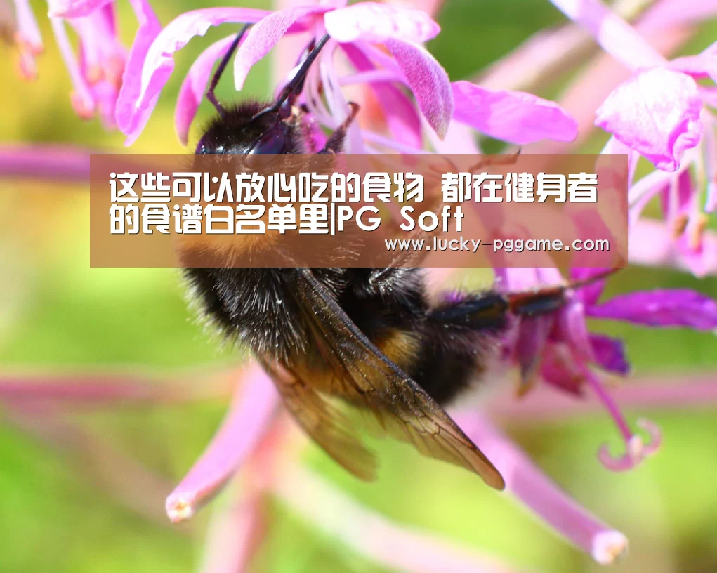 这些可以放心吃的食物 都在健身者的食谱白名单里|PG Soft(图1) pg电子模拟器