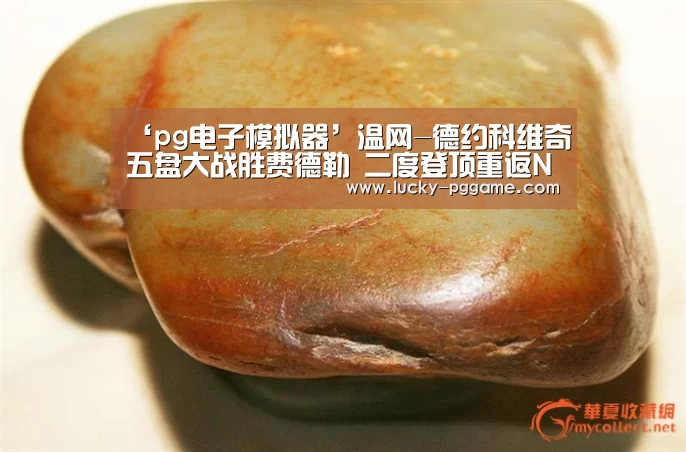 ‘pg电子模拟器’温网-德约科维奇五盘大战胜费德勒 二度登顶重返NO.1(图1) PG Soft