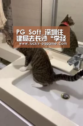 PG Soft_深圳住建局去长沙“学经”后 调控政策很棒!(图1) pg电子模拟器